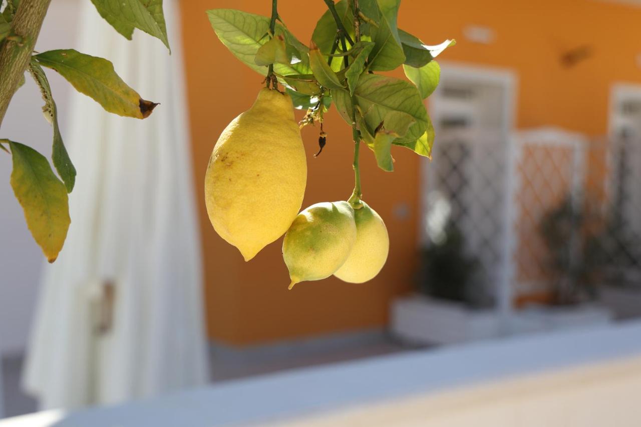 Casa Vacanze Il Gigante Comfort A Due Passi Dalla Valle Dei Templi Agrigente Extérieur photo